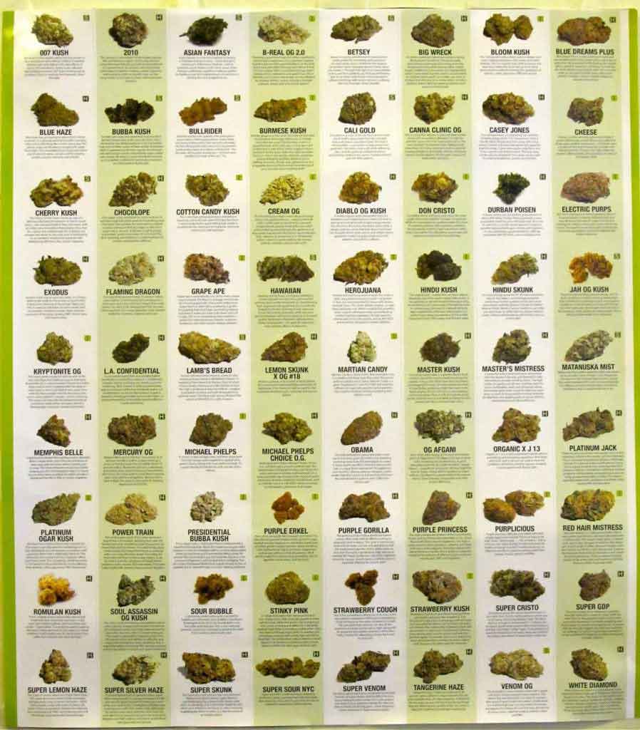 Different Types Of Weed Strains